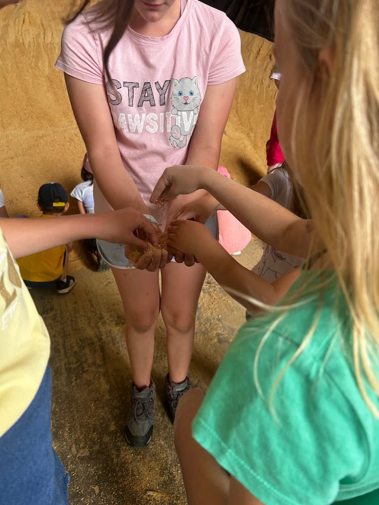 activite-enfant-ferme-pedagogique