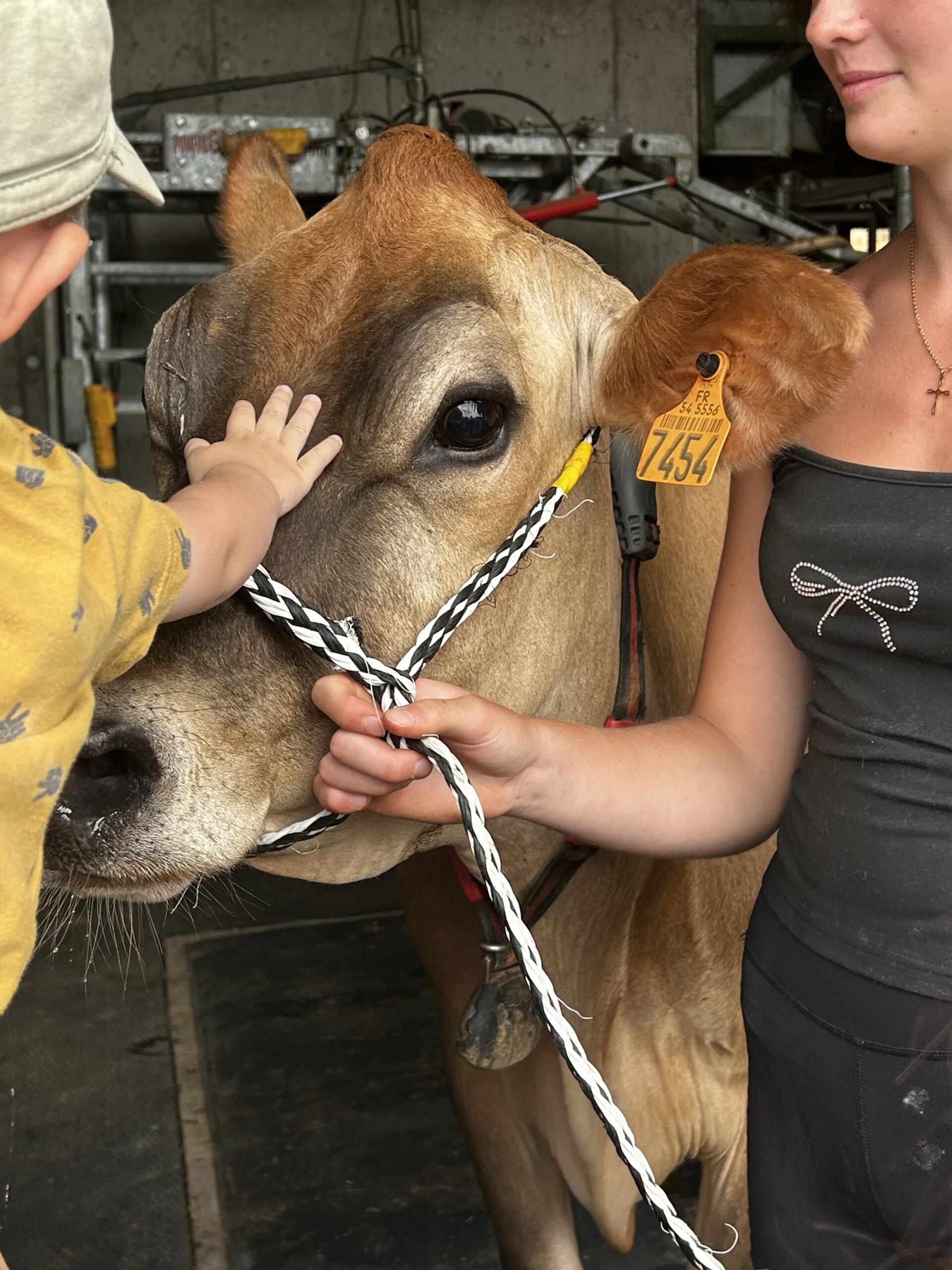ferme-pedagogique-lunéville