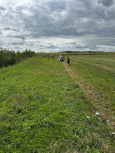 visite-scolaire-luneville-ferme-rockncow