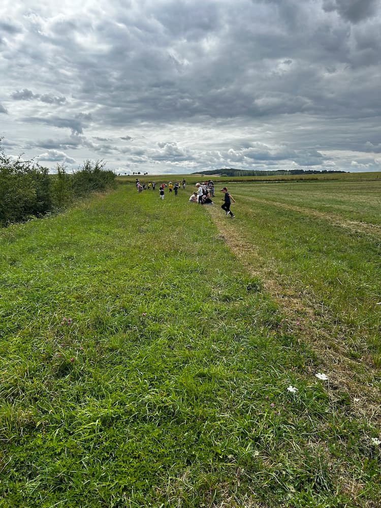 visite-scolaire-luneville-ferme-rockncow